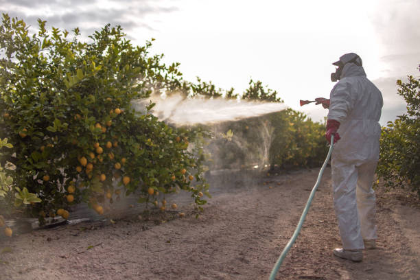Best Affordable Pest Control Services  in Helmetta, NJ