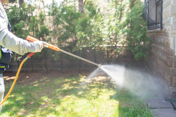 Best Best Pest Control Companies  in Helmetta, NJ